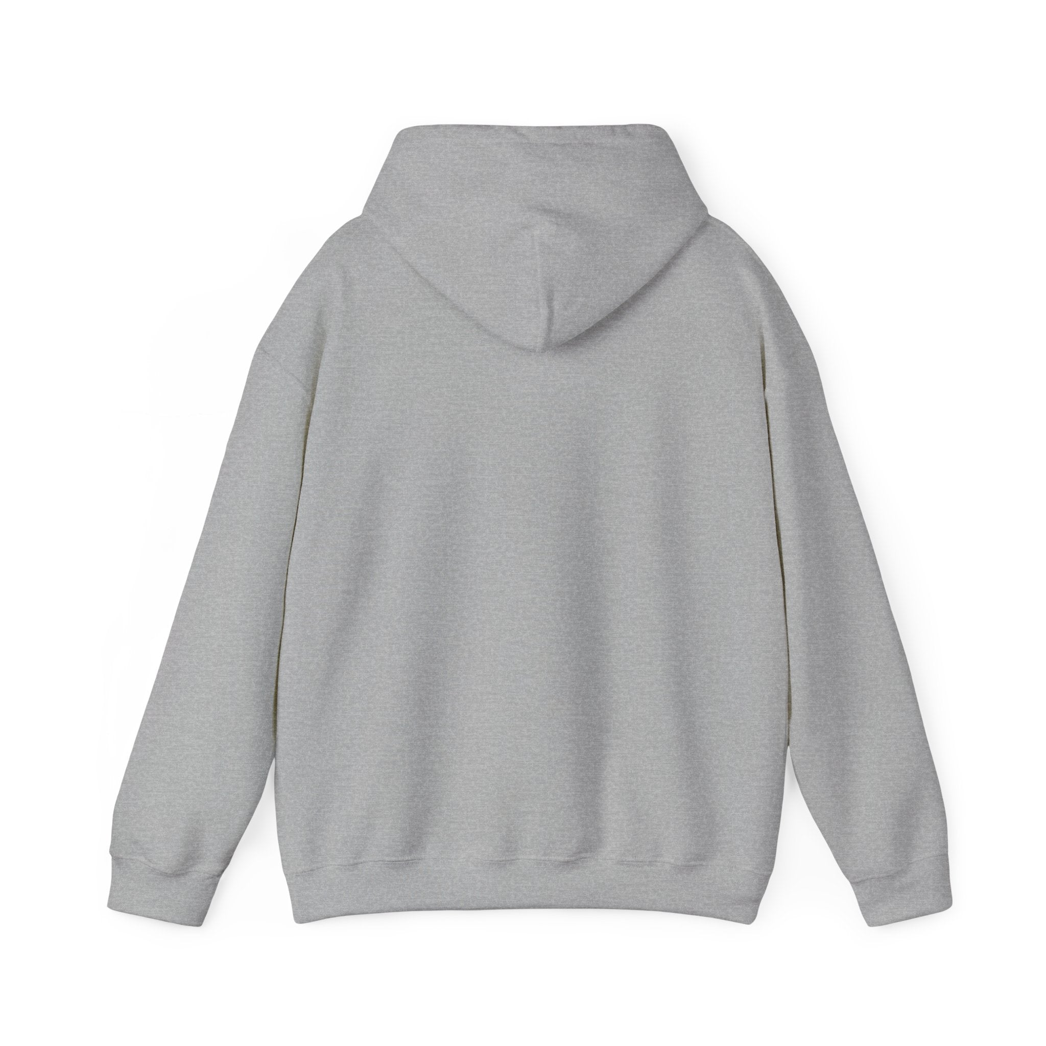 Viking King Graphic Hoodie — Norse Warrior Cloak & Helm Sweatshirt