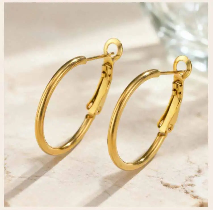 Stainless Steel Big Circle Hoop Earrings for Women,Gold Plated Hypoallergenic Non Tarnish  25mm-70mm Loop Jewelry