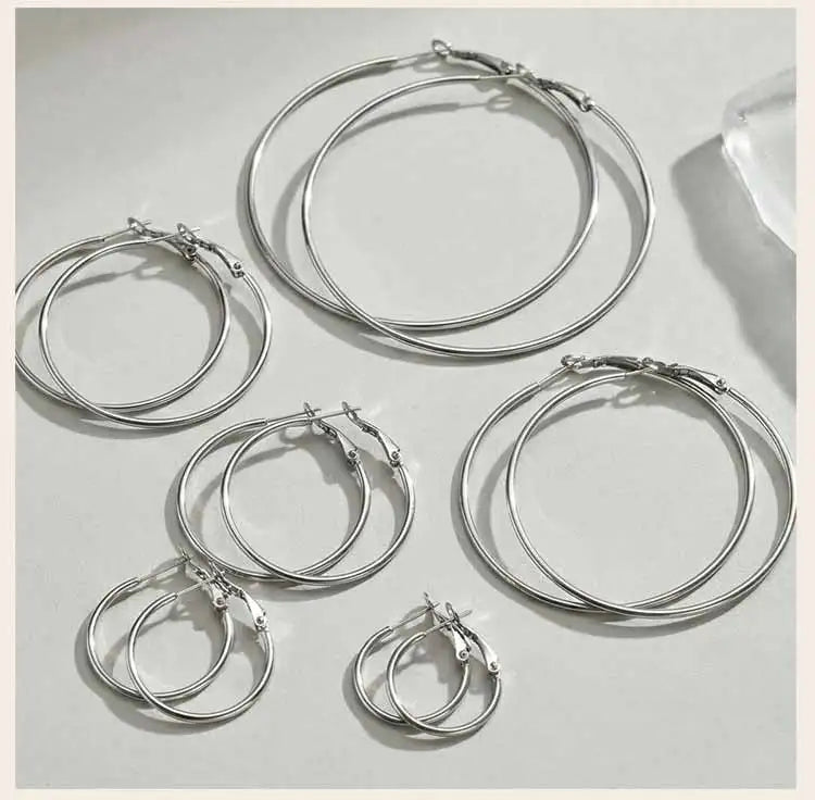 Stainless Steel Big Circle Hoop Earrings for Women,Gold Plated Hypoallergenic Non Tarnish  25mm-70mm Loop Jewelry